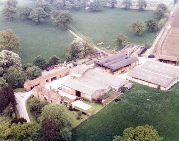 foto