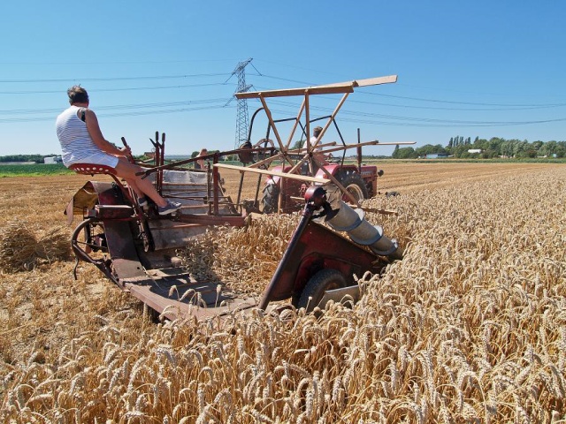 foto